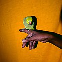 © Sohrab Hura