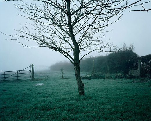 Private Joseph Byers Private Andrew Evans Time unknown / 6.2.1915 Private George E. Collins 07:30 / 15.2.1915 Six Farm, Loker, West-Vlaanderen © Chloe Dewe Mathews