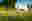 Semi-nude woman in long grass